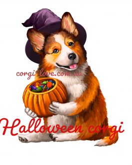 Футболка коргі “Гелувін” Halloween corgi